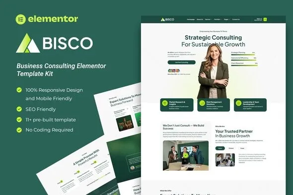 Bisco Business Consulting Elementor Template Kit