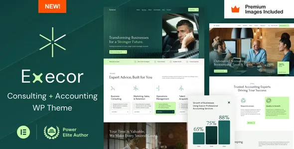 Execor Accounting and Management Consulting WordPress Theme