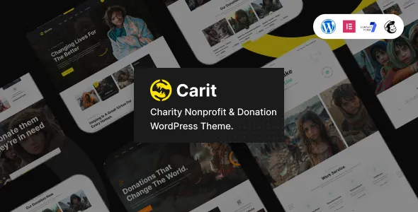 Carit - Charity Nonprofit & Donation WordPress Theme 1 Carit - Charity Nonprofit & Donation WordPress Theme